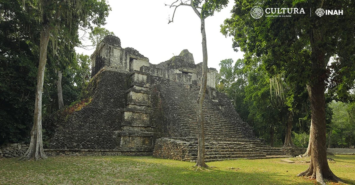 To the rescue of sections 6 and 7 of the Maya Train: INAH will intensify archaeological rescue