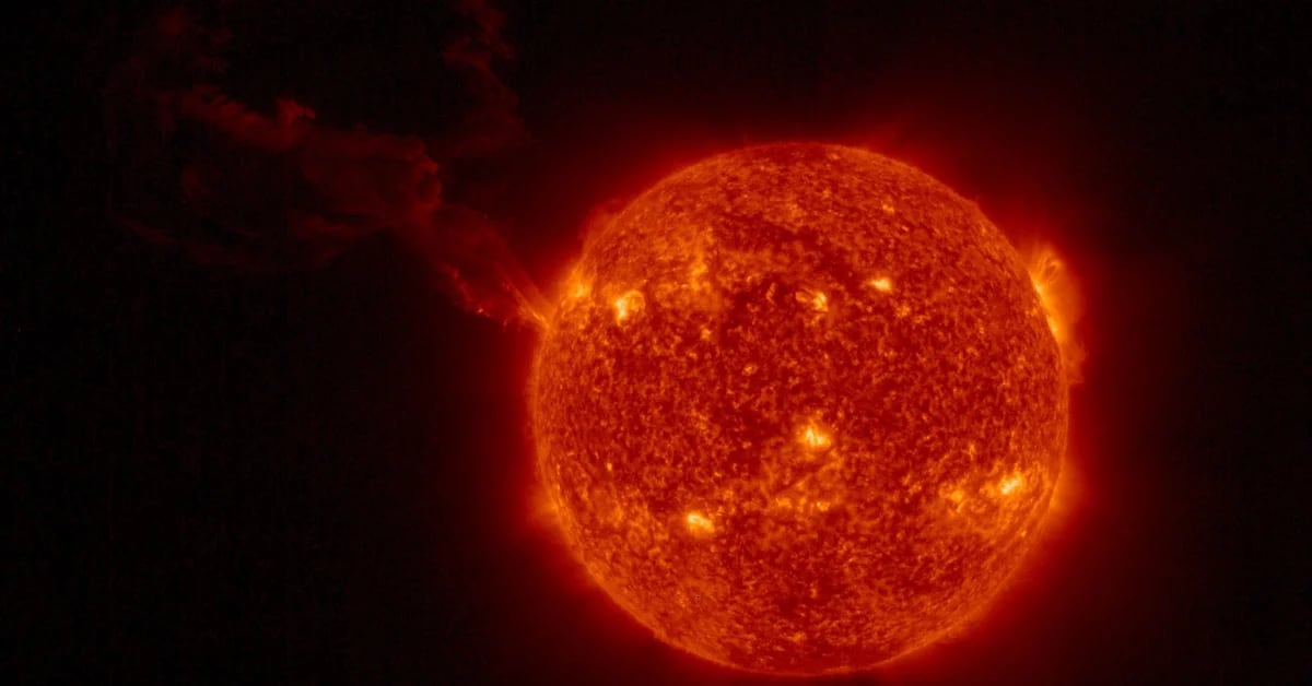 They discovered radio signals in a solar flare, similar to heartbeats