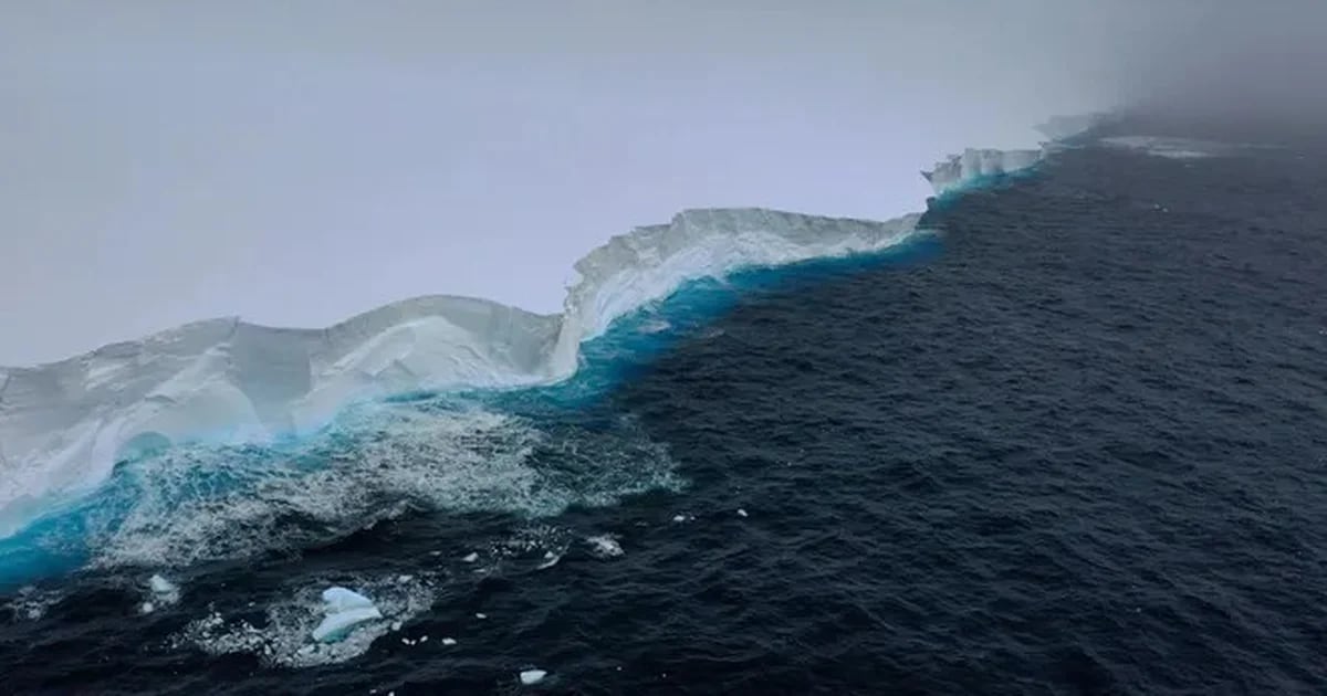 Video: The largest iceberg in the world continues its journey and they are studying the extent of its impact on the areas it passes through