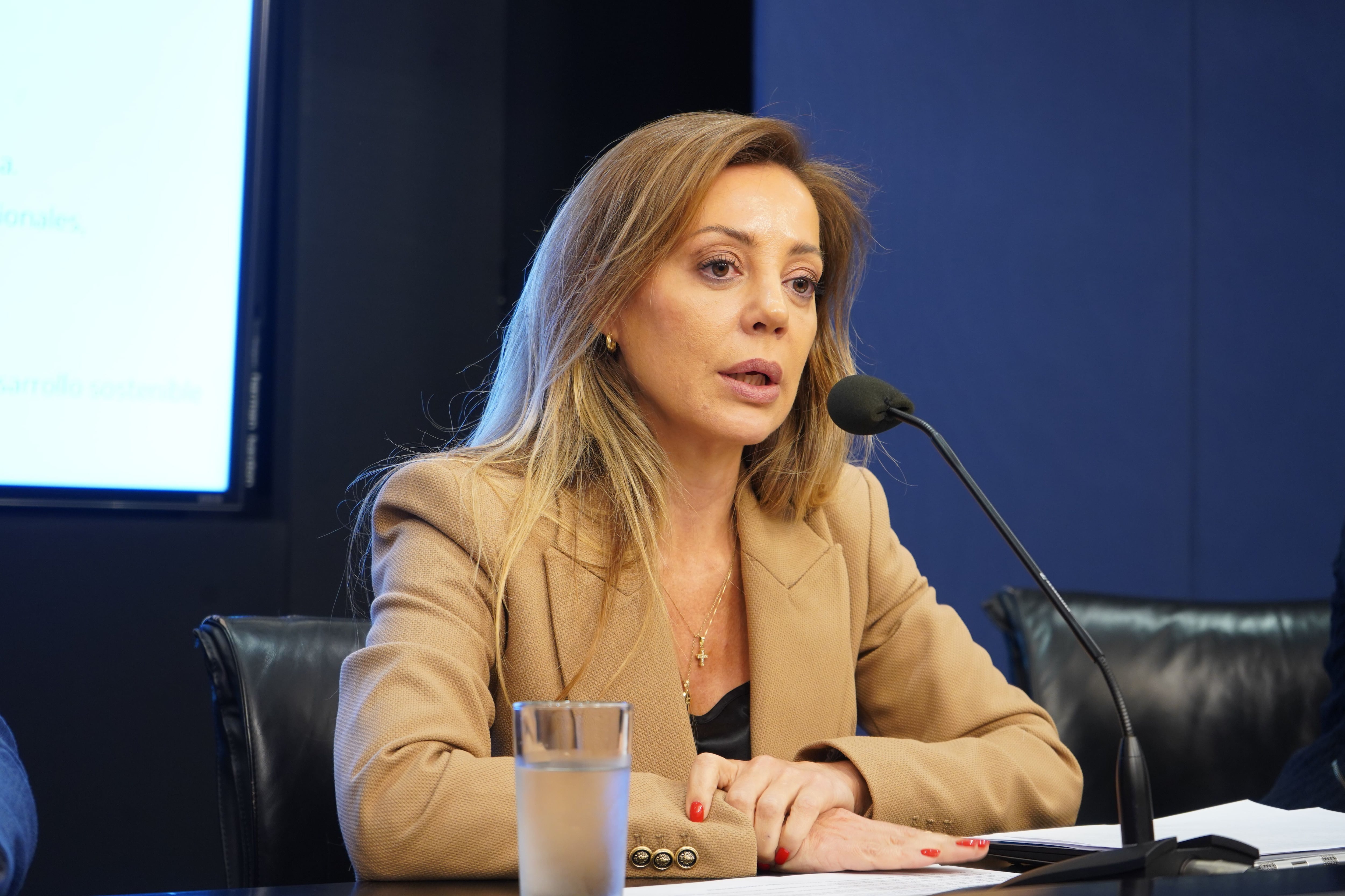 Flavia Royón, secretaria de Energía (Prensa)
