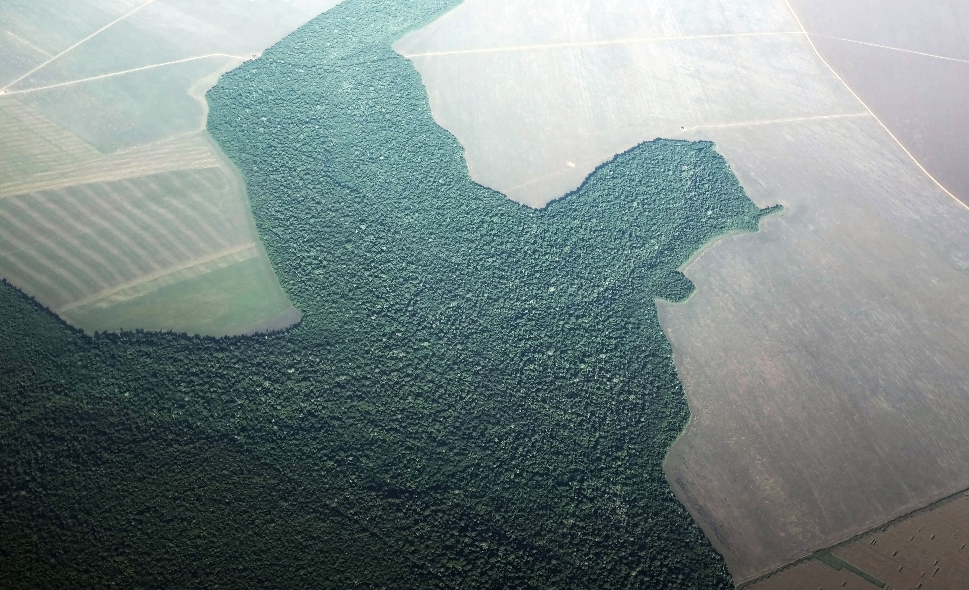 Una vista aérea de una sección de la selva amazónica deforestada convertida en tierra de cultivo cerca de la ciudad de Alta Floresta, estado de Pará, Brasil.  REUTERS/Nacho Doce/Foto de archivo/Foto de archivo
