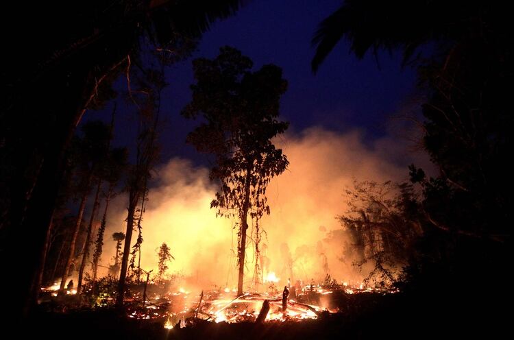 Los incendios no retroceden en el Amazonas: en los últimos días han sido reportados miles de focos nuevos (Reuters)