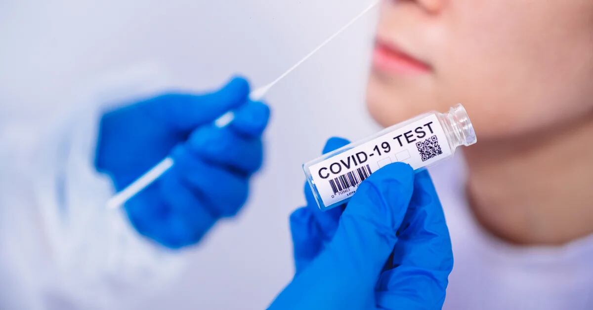 Come ci proteggiamo dal COVID-19?: un nuovo test che sarà in grado di fornire dati accurati sull’immunità