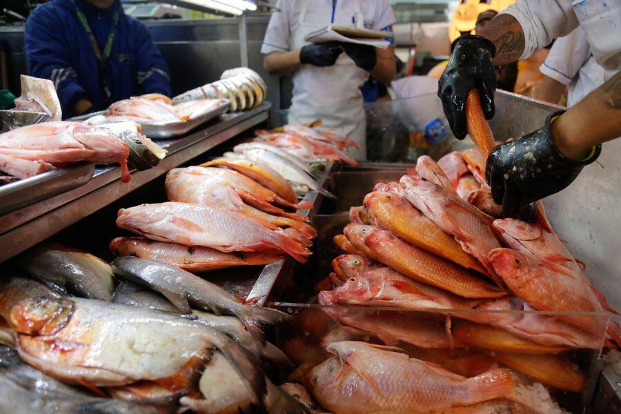 Con la llegada de la Semana Santa uno de los alimentos tradicionales es el pescado. Su consumo y comercialización se incrementan en varias regiones del país. (Colprensa - Álvaro Tavera).