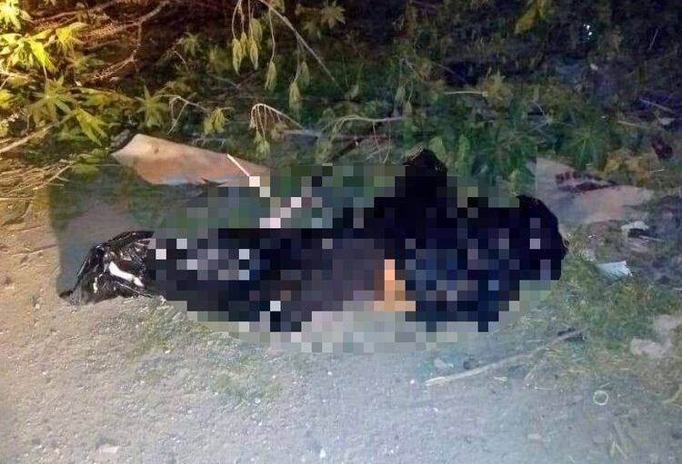 Un cadáver fue abandonado en Celaya, Guanajuato (Foto: Zona Franca)