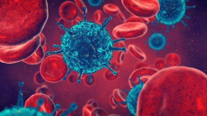 Las variantes del coronavirus pudieron evadir muchos anticuerpos, pero alrededor del 30% se adhirió a las nuevas partículas del virus(Shutterstock)