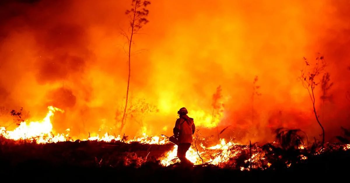 France prepares to break heat records as fires spread