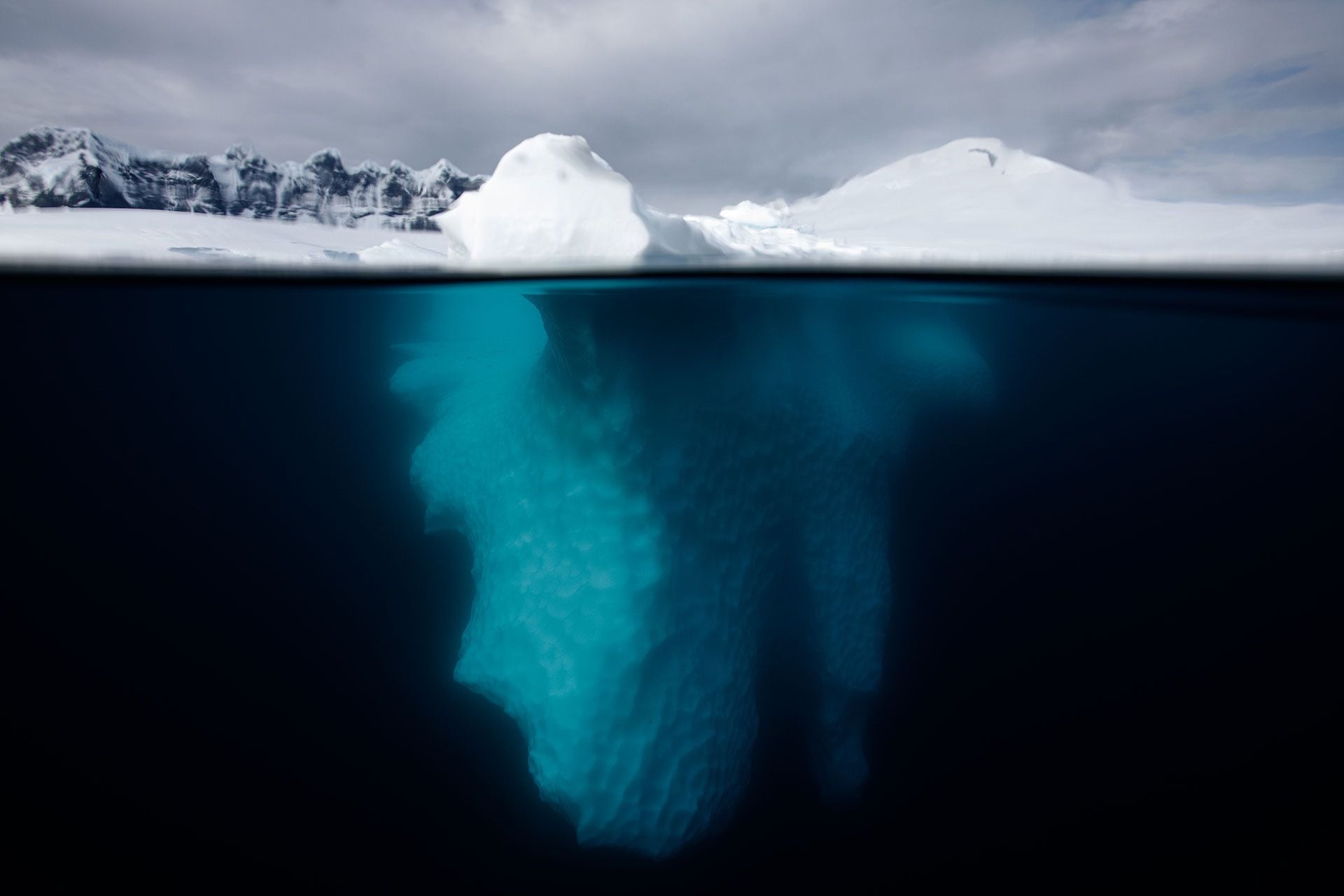 El Tratado Antártico definió a la Antártida como un sitio dedicado a “la libertad de investigación científica con fines pacíficos y la armonía internacional” (Getty Images)