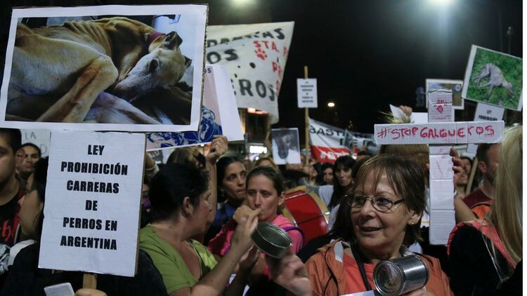Las afueras del Congreso de la Nación mientras en la Cámara de Diputados se votaba el proyecto que convirtió en ley la prohibición de las carreras de perros en todo el país. (NA - Marcelo Capece)