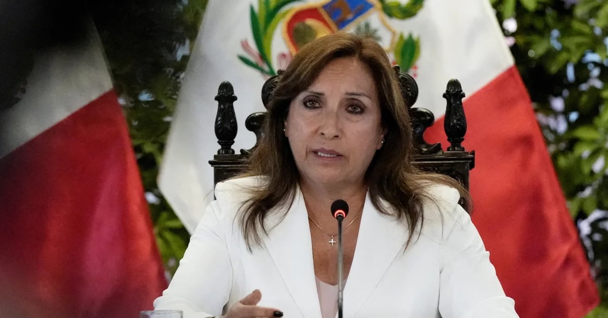 Dina Boluarte’s government will have to face Pedro Castillo’s request before the IACHR: “We will defend the interests of the State”