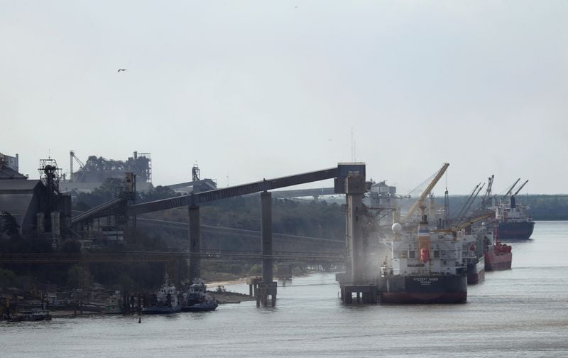 Un nuevo conflicto afecta a los puertos del Gran Rosario REUTERS/Agustin Marcarian. Foto de archivo.