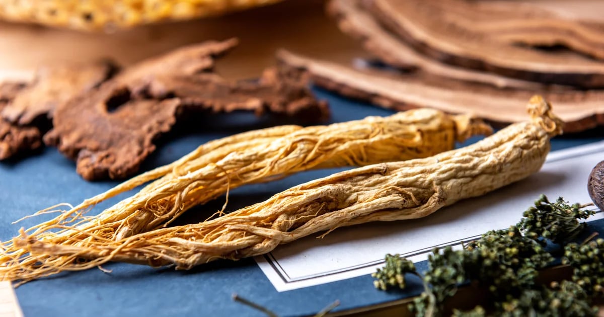 What is ginseng and what are its health benefits?