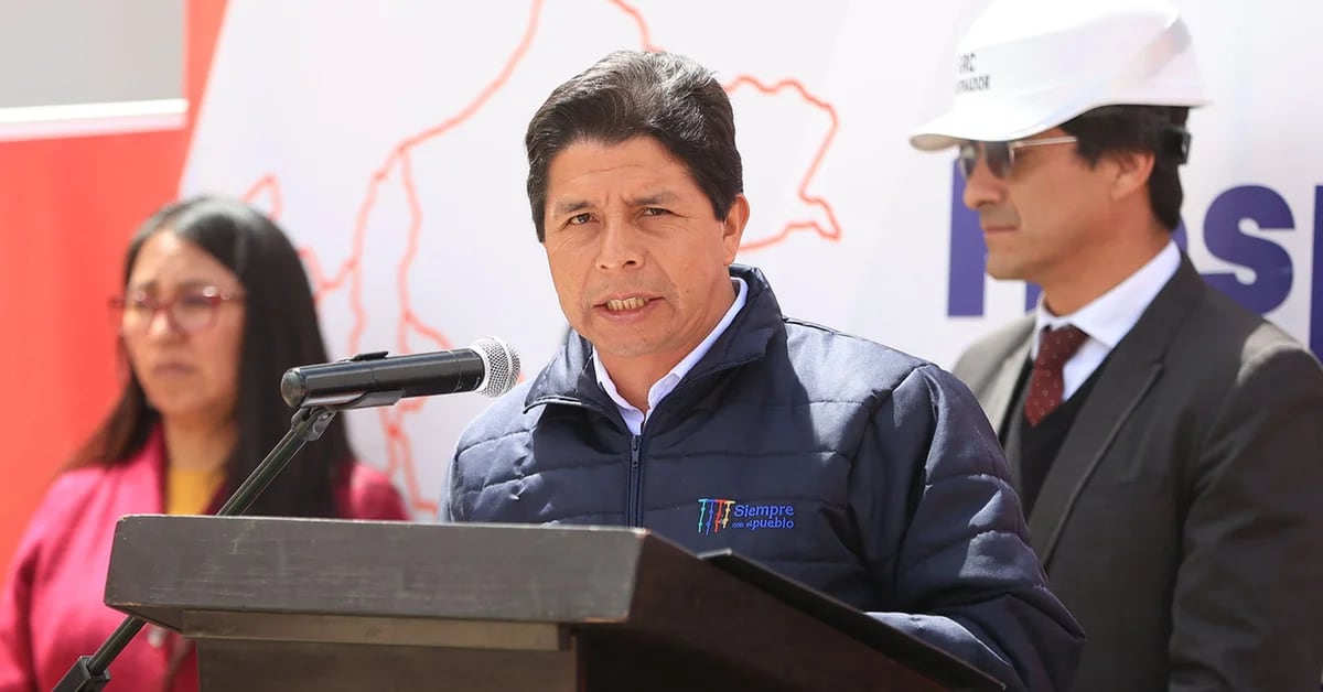 Pedro Castillo’s government asked the OAS to implement the Democratic Charter