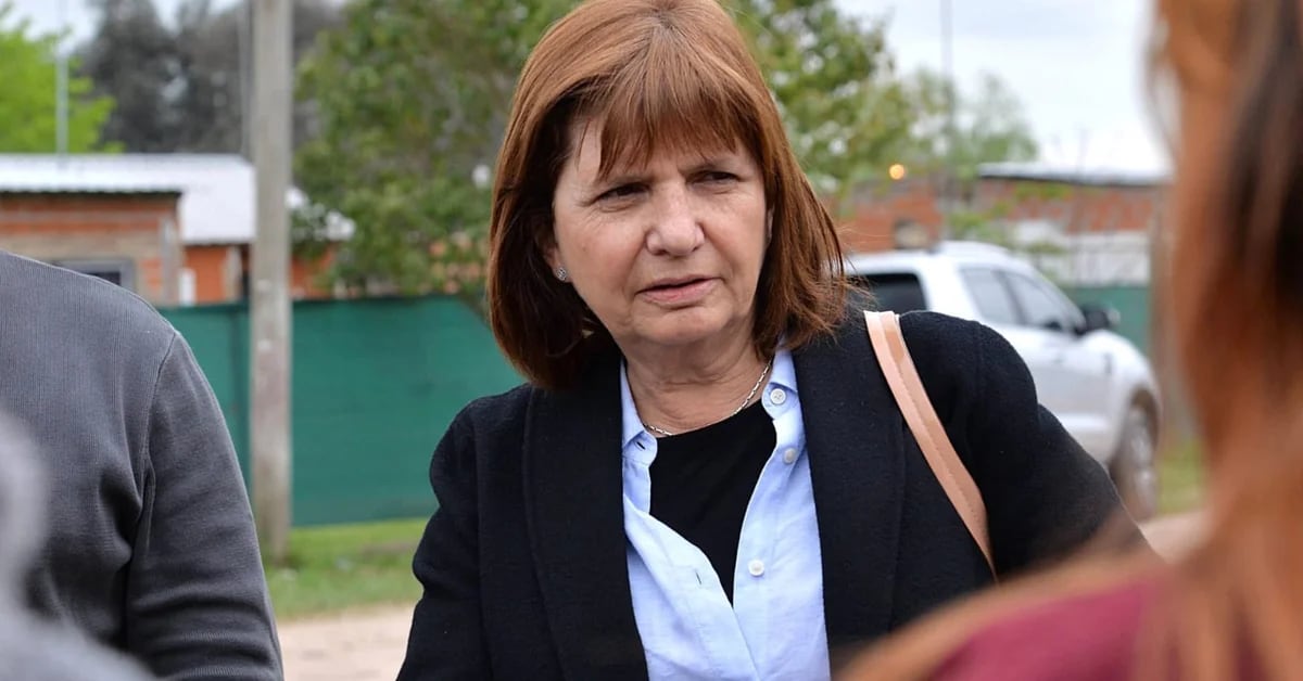 Patricia Bullrich: “You have to enter Rosario with all your might”