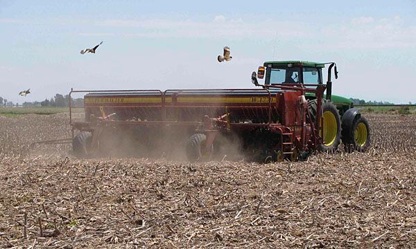 Los trabajos de siembra vienen retrasados este año por la falta de lluvias y a ese panorama se le suma ahora la falta de combustibles (Reuters)