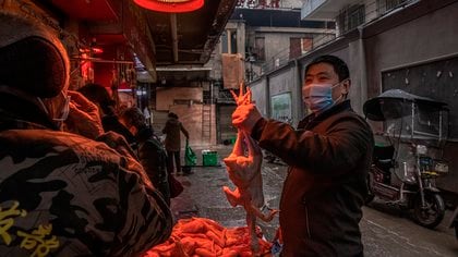 Un hombre con una mascarilla escoge un pollo en el mercado callejero de Wuhan, China. EFE/EPA/ROMAN PILIPEY/Archivo
