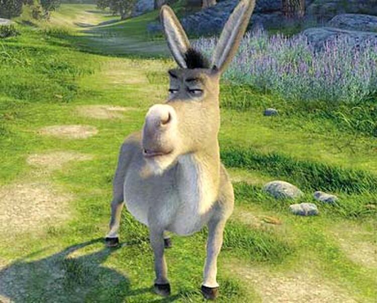 wallpapers Imagenes Del Burro De Shrek imagenes de shrek burro leevandnbrink