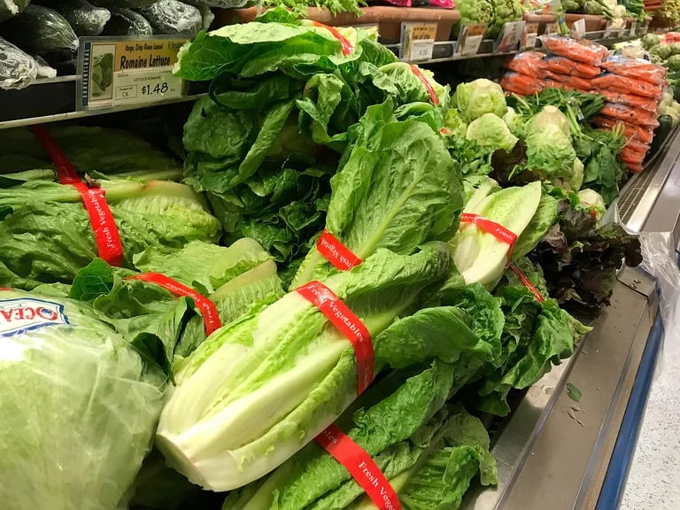 Las verduras de hoja verde ofrecen vitamina A , que ayuda a las neuronas a regular el aprendizaje y  