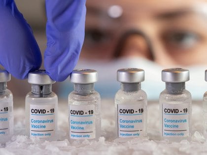 La OMS defendió la seguridad de las vacunas contra el coronavirus que están a la espera de aprobación (REUTERS/Dado Ruvic/Illustration)