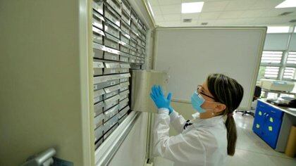 Ultracongelador provisto por la UIS para plan de vacunación. Foto: UIS