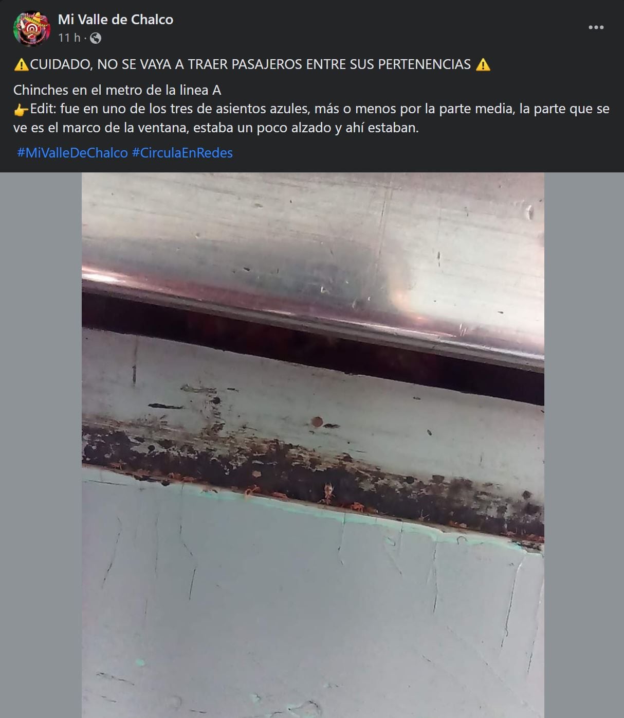 El usuario reportó la presencia de chinches en uno de los ventanales del vagón.- (Facebook: Mi valle de chalco)