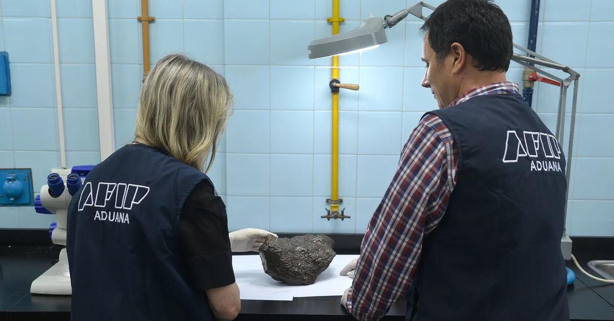 Astronomical smuggling or trans-Andean theft?  : Customs seized a meteorite that a Cordoba retiree tried to introduce from Chile