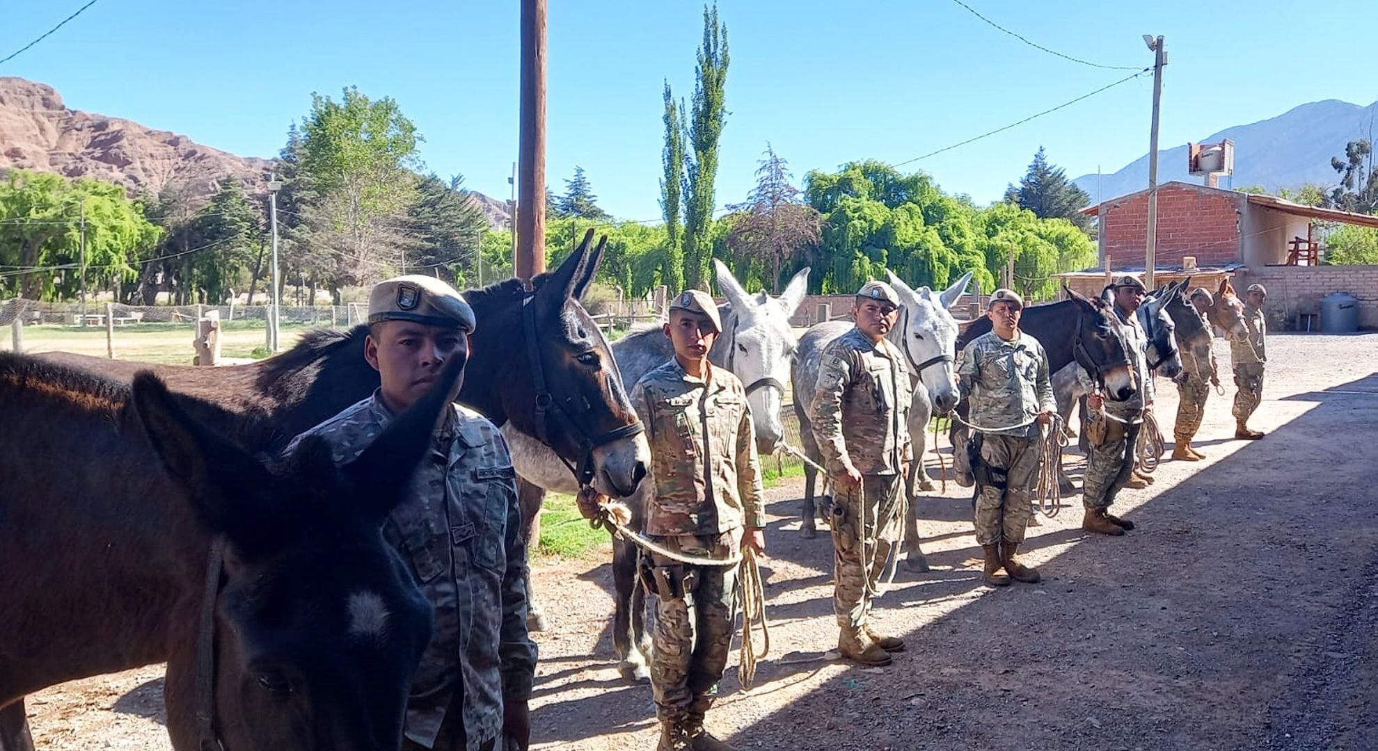 En formación junto al ganado mular, antes de dirigirse al punto de partida (Fotos: Gentileza Ejército Argentino)
