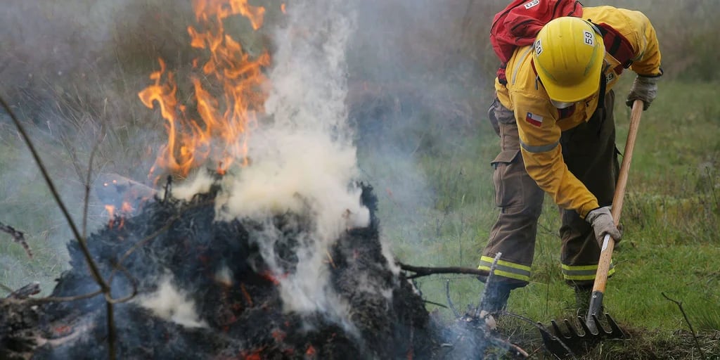 El gobierno chileno decretó el estado de catástrofe en tres regiones por los incendios forestales - Infobae