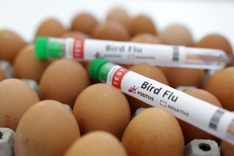 FOTO DE ARCHIVO: Tubos de ensayo etiquetados como "gripe aviar" y huevos en esta ilustración del 14 de enero. 2023. REUTERS/Dado Ruvic/Illustration
