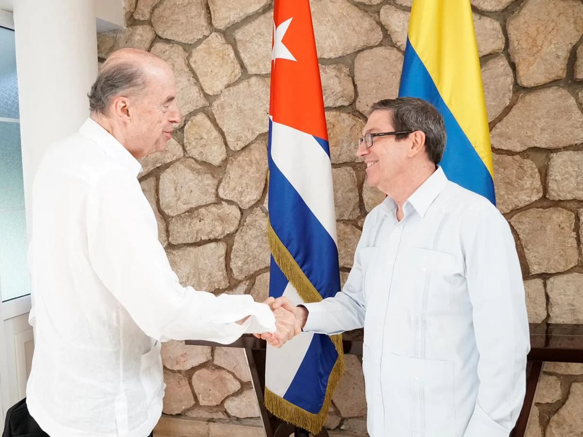 Delegación del Gobierno nacional reiteró su intención de reanudar el  proceso de paz con el ELN en Cuba - Infobae