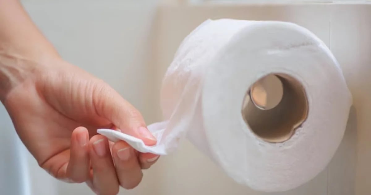 Toilet paper vs bidet: It’s better to take care of your health, according to a Harvard expert