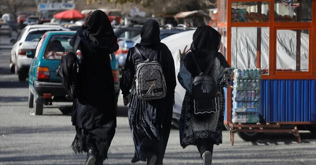 Il ministro dell’istruzione afghano ha difeso l’impedire alle donne di frequentare le università