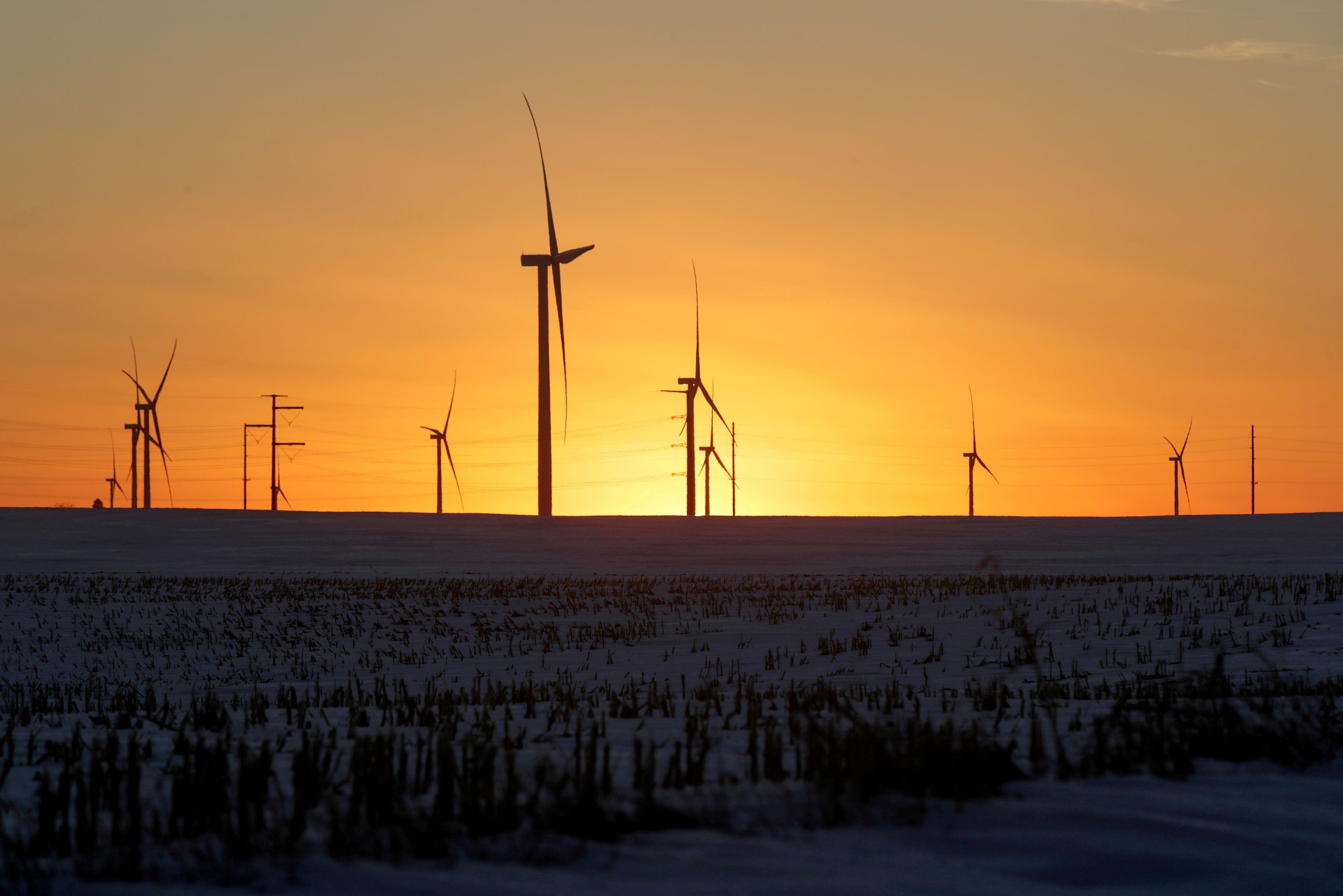 Una granja eólica en Latimer, Iowa.  49 países (que suponen el 57% de las emisiones mundiales) se comprometieron oficialmente a alcanzar la neutralidad carbono a mediados de este siglo (REUTERS/Jonathan Ernst/archivo)
