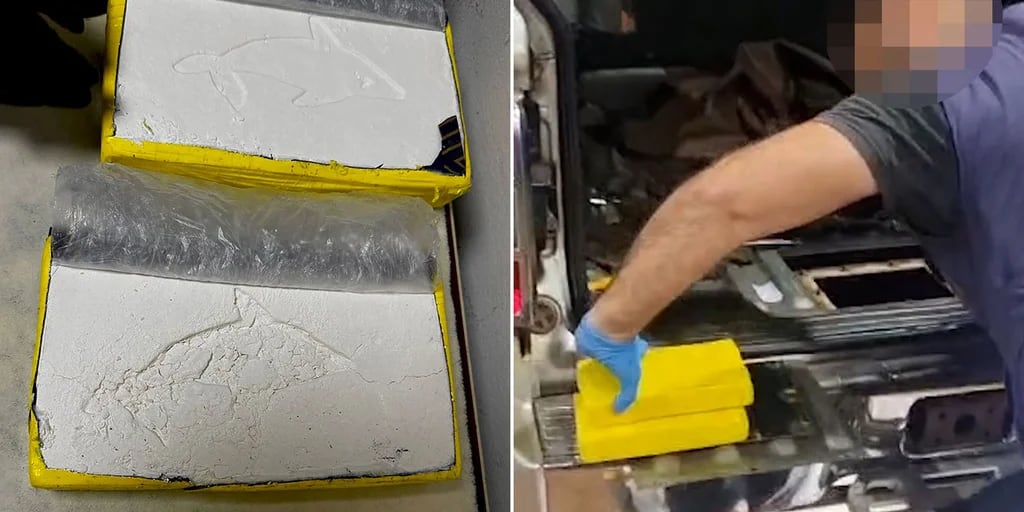 El caso de la cocaína embalada en ladrillos amarillos y con la marca del delfín: encontraron más de 16 kilos