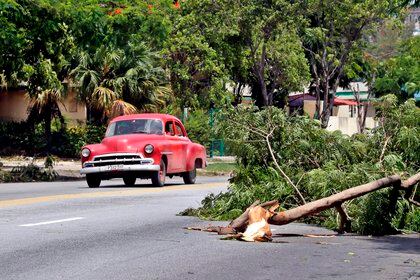 Un auto pasa junto a un árbol caído tras la tormenta tropical Laura en La Habana (Cuba) (EFE/Ernesto Mastrascusa)