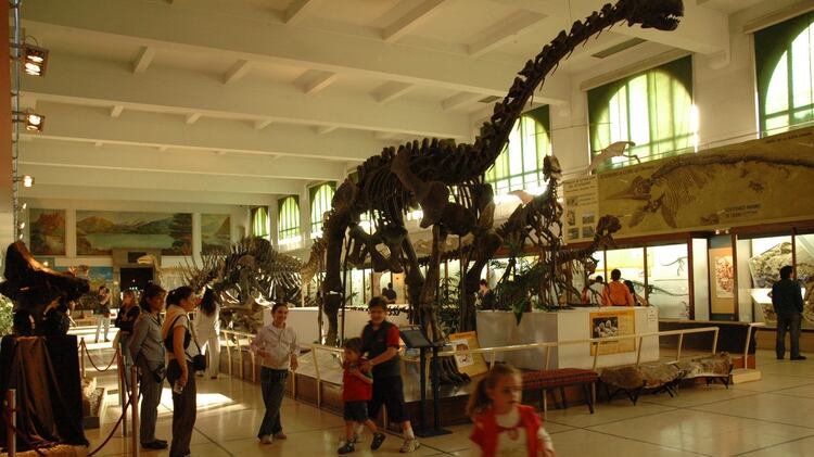 El Museo de Ciencias Naturales Bernardino Rivadavia también abrió sus puertas para recibir a los amantes de los fósiles (Mapio)