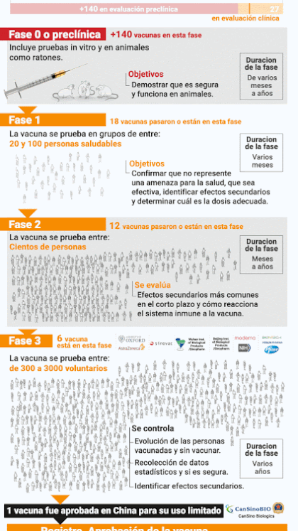 Fases de la vacuna (Información actualizada al 3/8*) (Infografía: Marcelo Regalado)