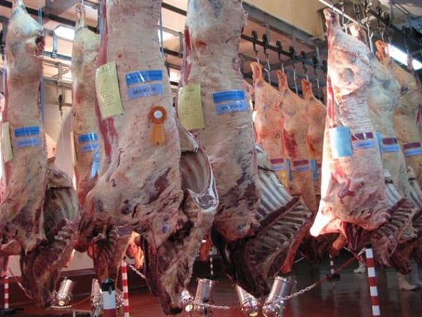 Estiman que en 2018, Argentina exportaría 450.000 toneladas de carne vacuna y alcanzaría el puesto 7 en el ranking.