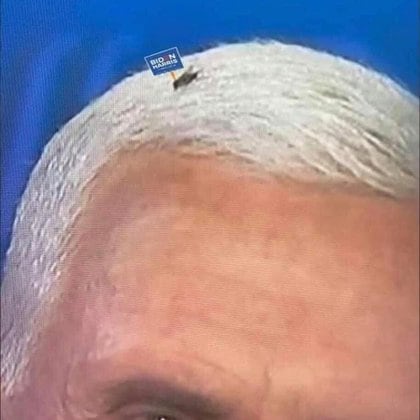 Broma sobre la mosca en la cabeza de Pence 