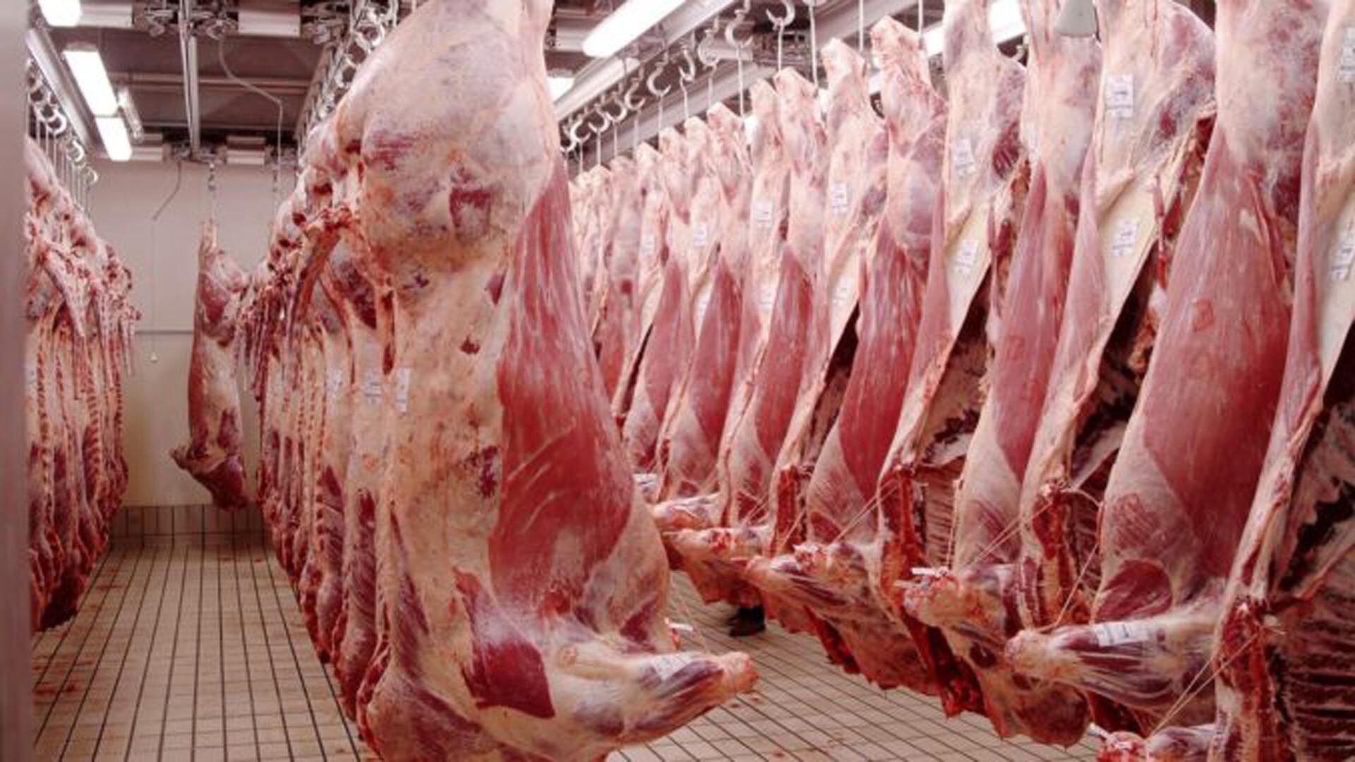 Hay negociaciones entre el Gobierno y el sector de la exportación de carne vacuna. 