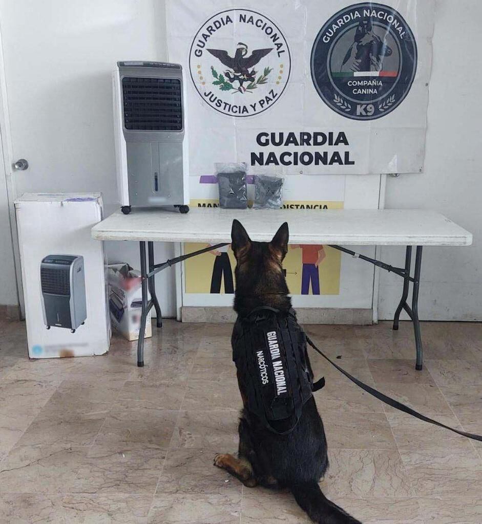 Con el apoyo de un binomio canino, la Guardia Nacional decomisó cerca de un kilogramo de una sustancia parecida al crystal en Culiacán, Sinaloa (Foto: Twitter@GN_MEXICO_)