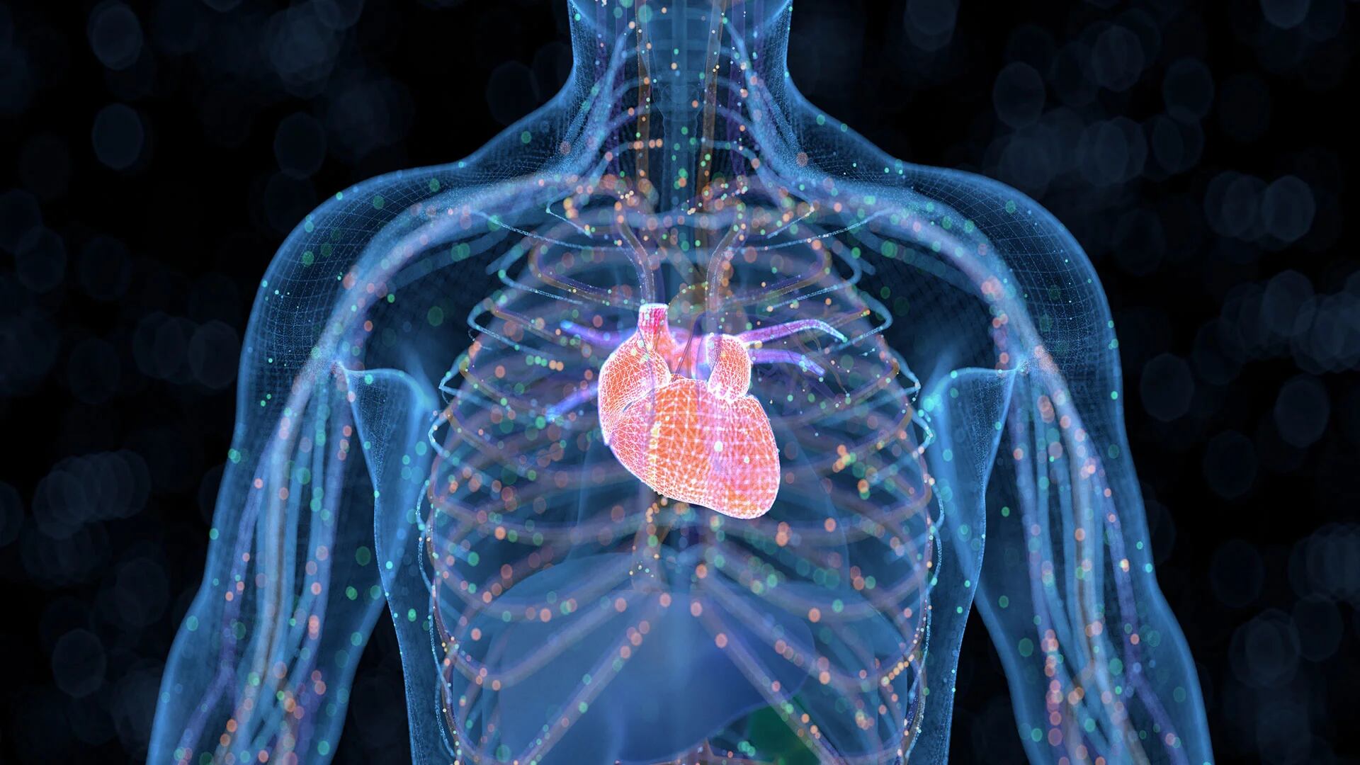 Las zonas de menor contaminación reducen el riesgo de afecciones cardíacas (Getty)