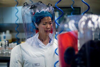 Shi Zhengli en el Instituto de Virología de Wuhan (AFP)