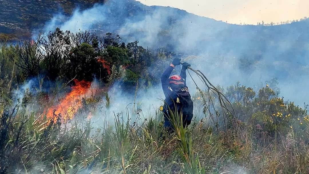Incendio arrasa con más de 70 hectáreas en reserva forestal entre Boyacá y Santander