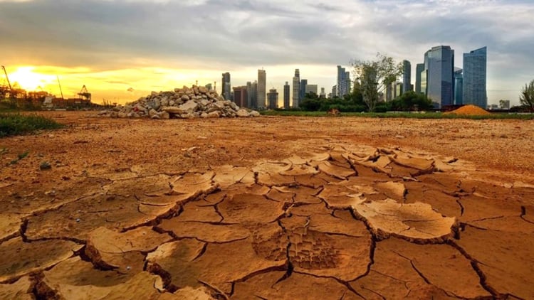 Olas de calor, derretimiento de los glaciares, inundaciones, sequías son algunas de las consecuencias del calentamiento global