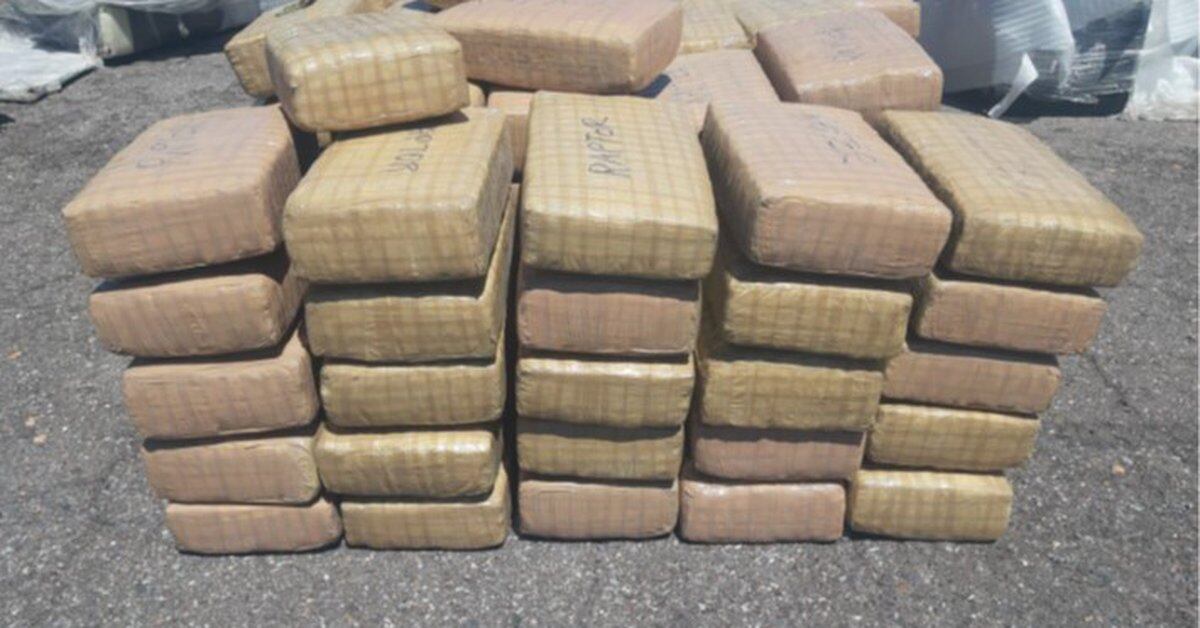 76 thousand 730 kilograms of narcotics seized in Mexico in five months