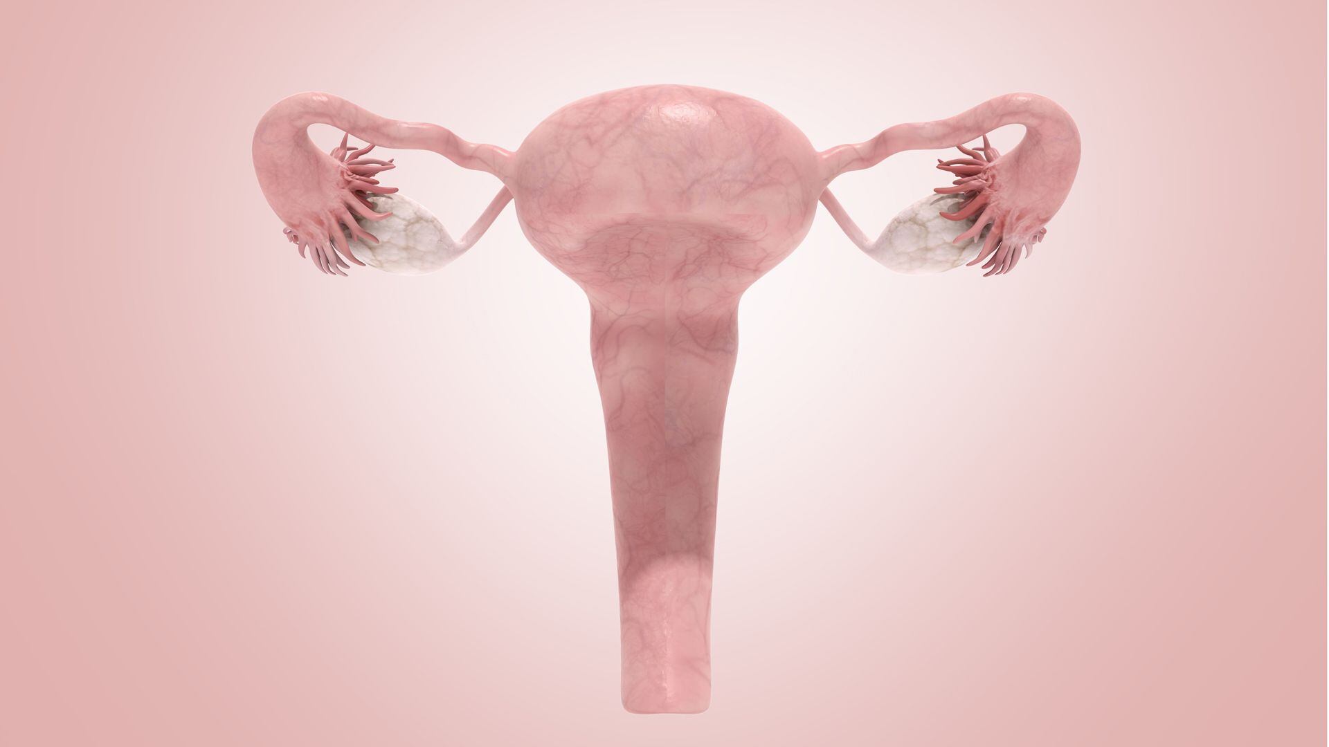 En el marco del Día Mundial del Cáncer de Cuello Uterino es importante concientizar sobre la importancia de la vacunación y los controles (Getty Images)