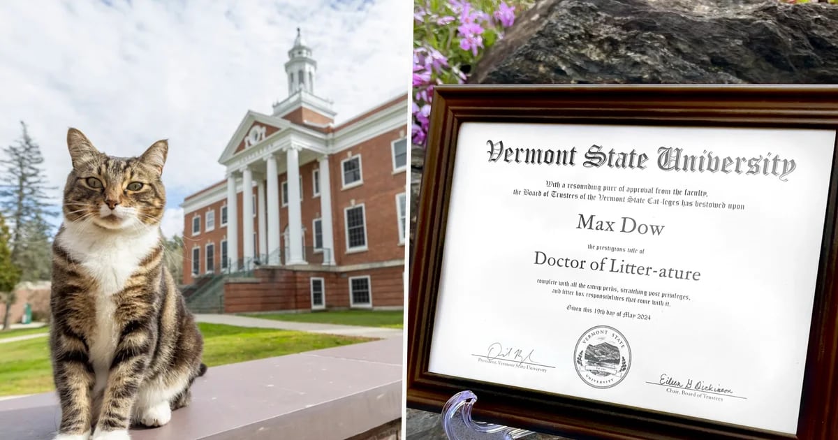 The University of Vermont awarded a cat an honorary degree for a sentimental cause