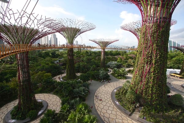 Los súper árboles de Singapur, en el parque Gardens by the Bay. Hechos de concreto, miden entre 25 y 50 metros, albergan jardines verticales y están equipados con paneles solares. Foto: Archivo DEF.