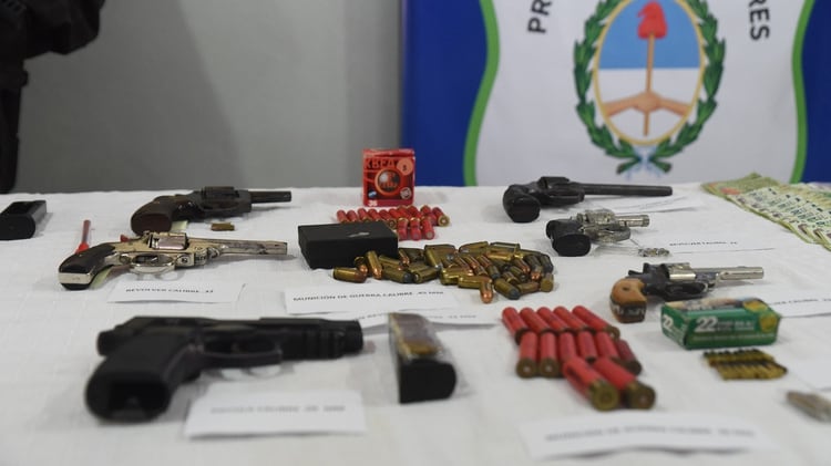 Las armas incautadas en el operativo (Franco Fafasuli)